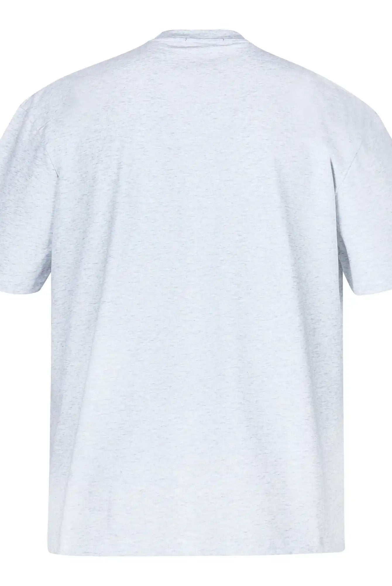 Das trueprodigy Nika Oversize-Basicshirt zeigt sich in klarem Design, aus dickem Jersey-Stoff in hellgrau, mit lockerer Passform und klassischem Rundhalsausschnitt. Die Rückansicht präsentiert das Shirt ohne sichtbare Designs vor weißem Hintergrund.