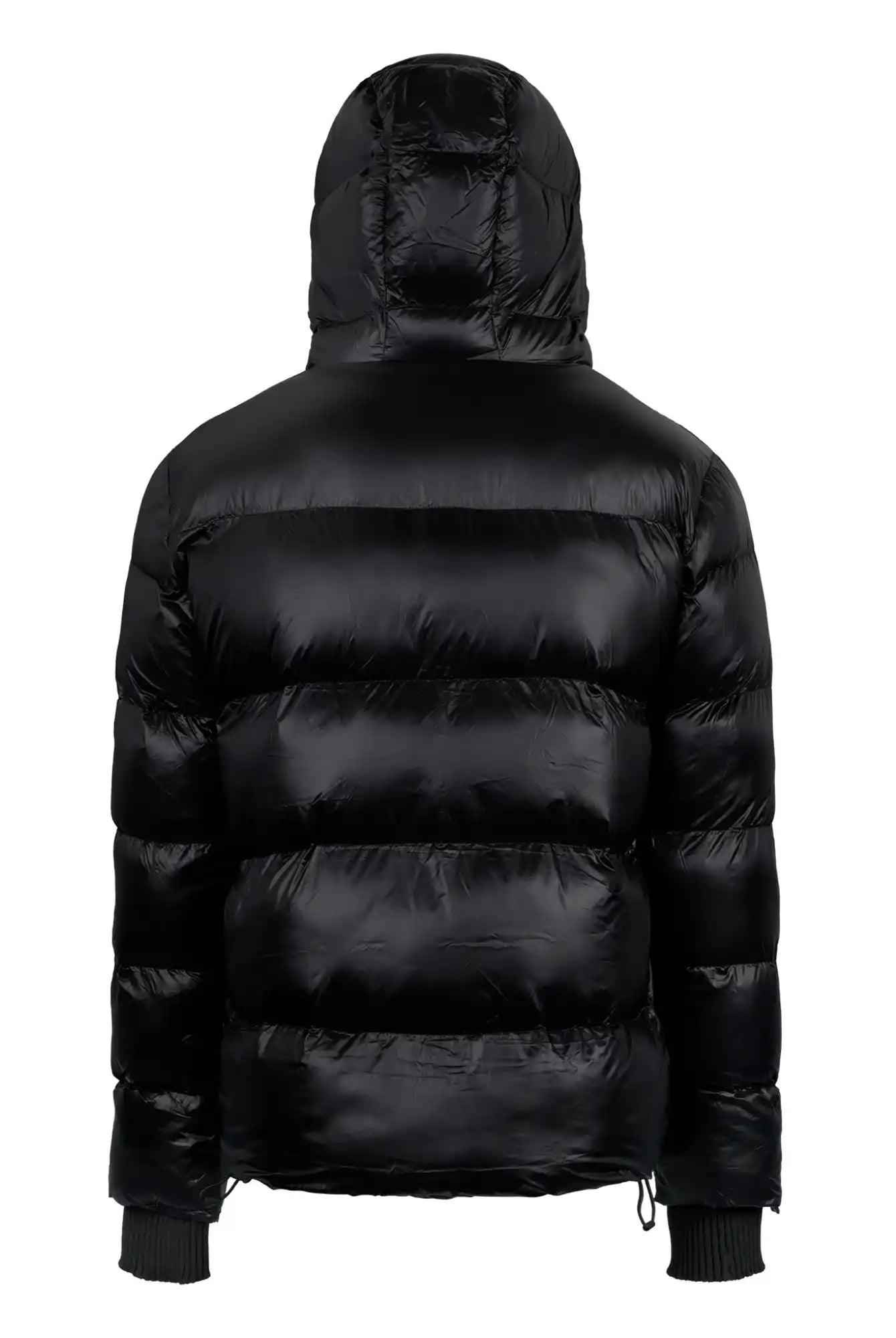 Die schwarze Logan Pufferjacke mit Logo von trueprodigy hat Kapuze, horizontales Steppmuster, elastische Bündchen und glänzendes Material. Die wattierte Jacke wird von hinten gezeigt.