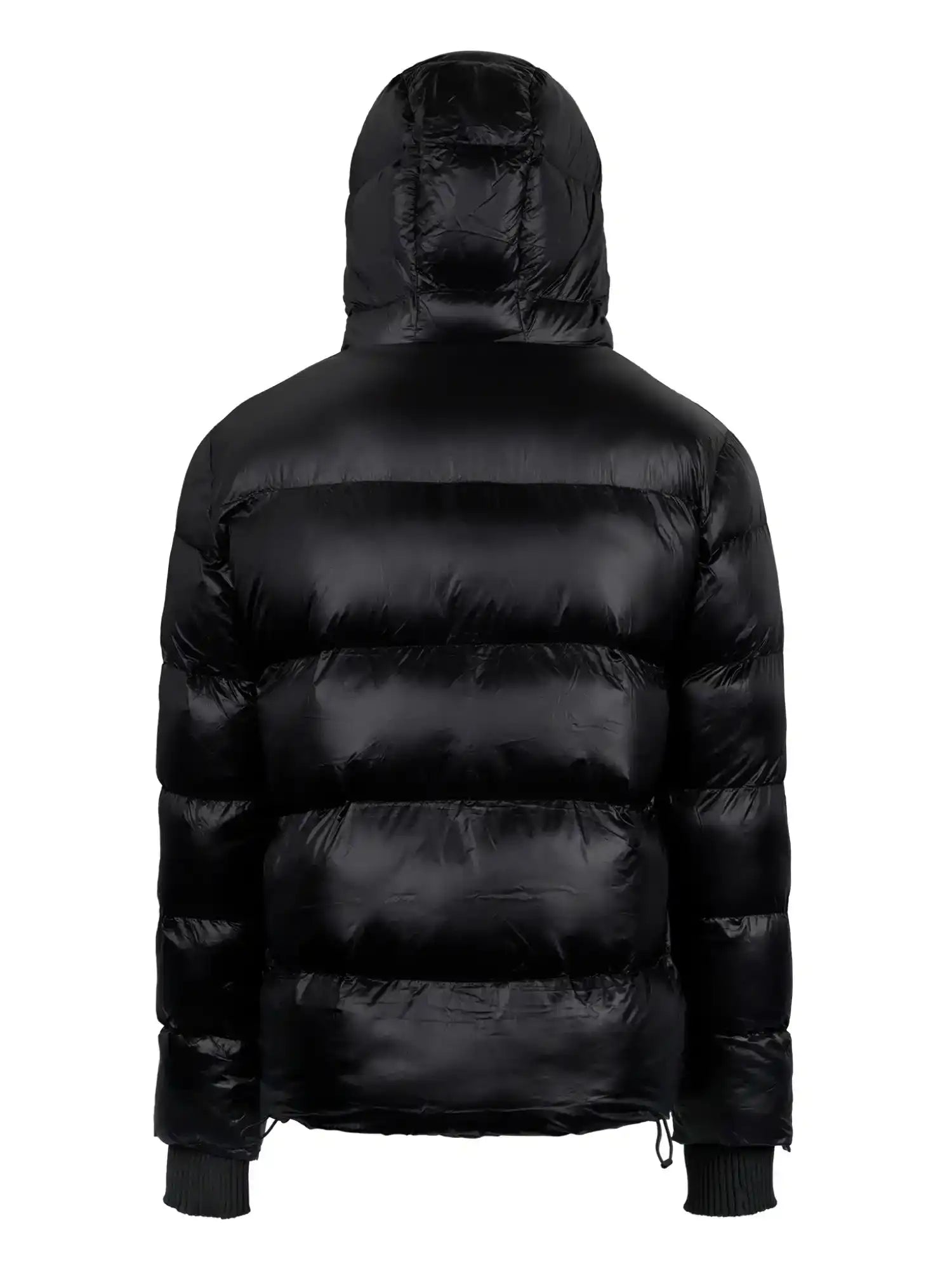 Die schwarze Logan Pufferjacke mit Logo von trueprodigy hat Kapuze, horizontales Steppmuster, elastische Bündchen und glänzendes Material. Die wattierte Jacke wird von hinten gezeigt.
