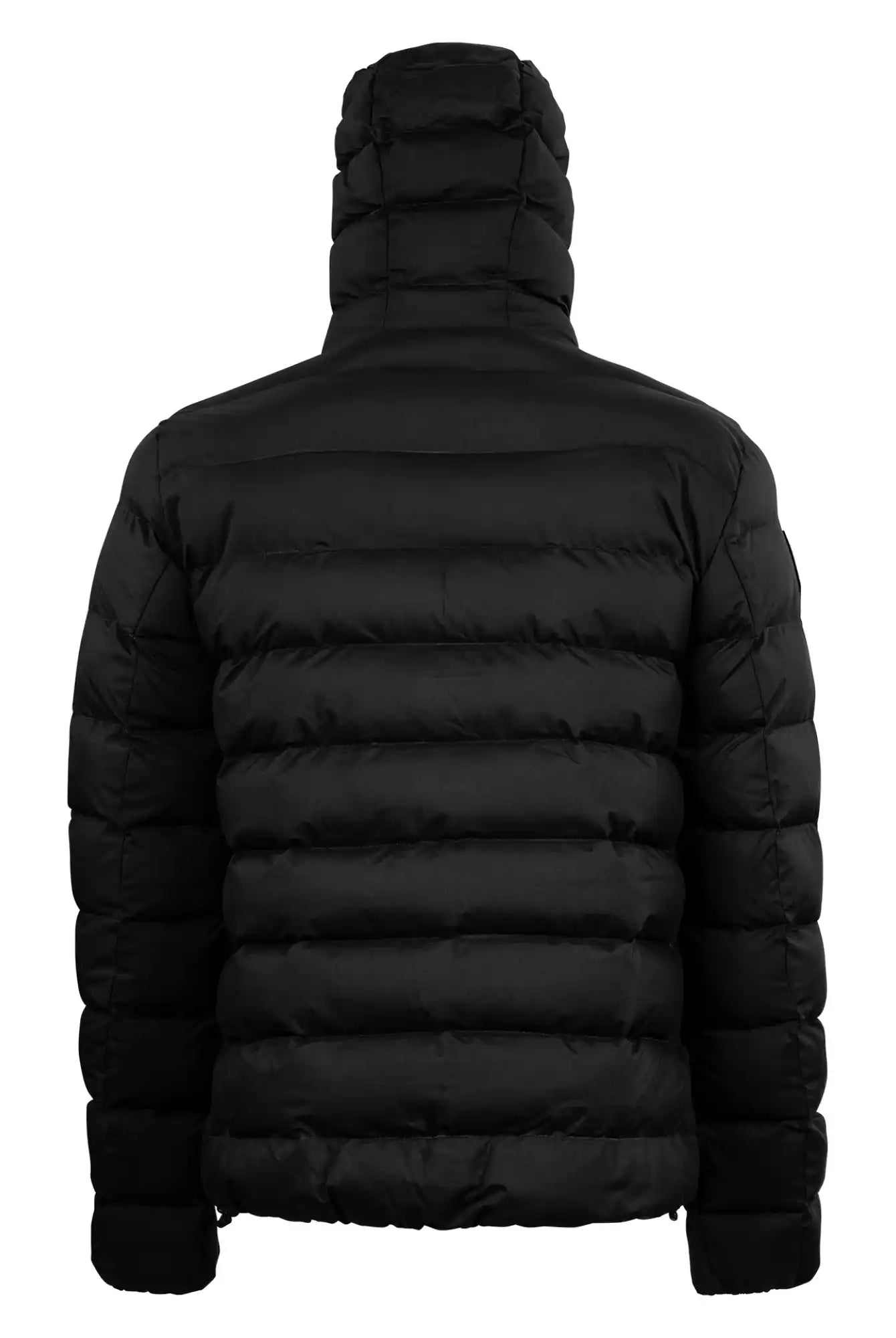 Die Neo Kurze Pufferjacke mit Logo von trueprodigy in Schwarz wird von hinten gezeigt, mit horizontalem Steppmuster und hohem, wattiertem Kragen. Die dick gefütterte, wasserabweisende Jacke eignet sich ideal für kaltes Wetter.