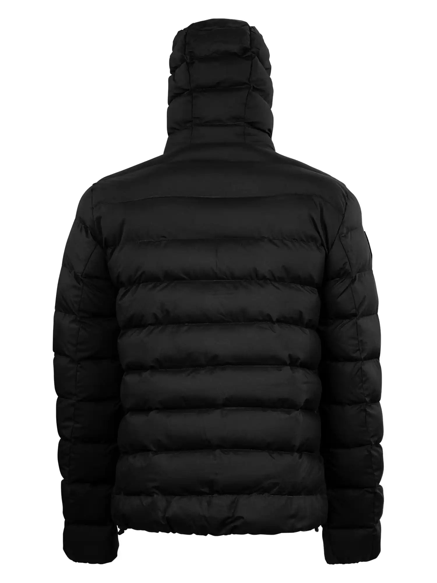 Die Neo Kurze Pufferjacke mit Logo von trueprodigy in Schwarz wird von hinten gezeigt, mit horizontalem Steppmuster und hohem, wattiertem Kragen. Die dick gefütterte, wasserabweisende Jacke eignet sich ideal für kaltes Wetter.