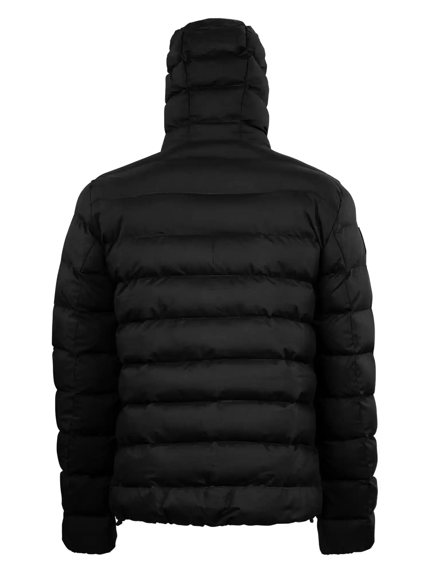 Die Neo Kurze Pufferjacke mit Logo von trueprodigy in Schwarz wird von hinten gezeigt, mit horizontalem Steppmuster und hohem, wattiertem Kragen. Die dick gefütterte, wasserabweisende Jacke eignet sich ideal für kaltes Wetter.