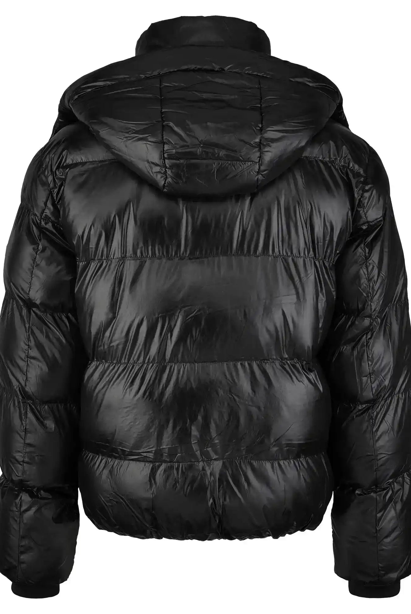 Die trueprodigy Herren Winterjacke mit hochglänzender Oberfläche im Regular Fit zeigt sich von hinten, mit horizontaler Steppung, langen Ärmeln, einer Kapuze und einem leicht glänzenden Synthetikmaterial für ein glänzendes Finish.