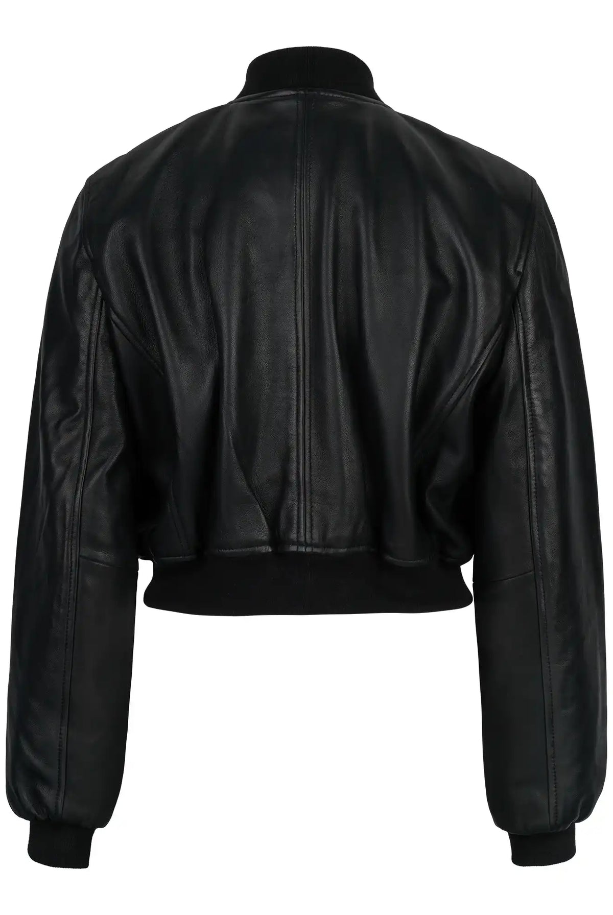Eine schwarze, kurz geschnittene Lederjacke, die Bomber-Lederjacke für Damen „Paola“ mit Stehkragen von trueprodigy, wird von hinten vor einem schlichten weißen Hintergrund gezeigt. Sie verfügt über lange Ärmel, einen gerippten Bund und gerippte Ärmelbündchen, was ihren klassischen Bomber-Stil unterstreicht.