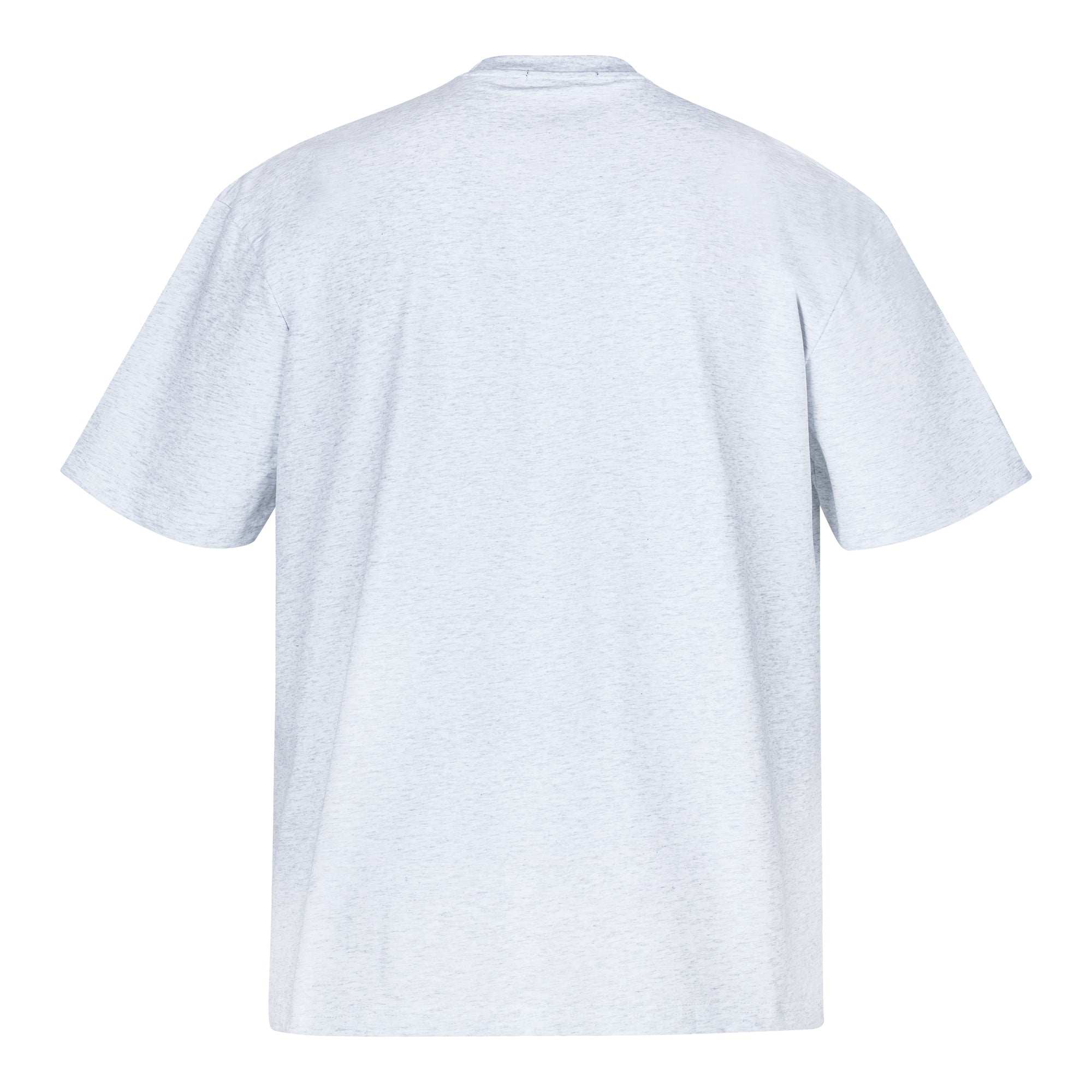 Das Bild zeigt die Rückansicht eines hellgrauen, schlichten Jerseystoff-T-Shirts von trueprodigy. Dieses Ravi-Shirt hat kurze Ärmel, keine sichtbaren Logos oder Designs und eine leicht melierte Textur. Es ist ein klassisches Unisex-Stück, perfekt für jede Garderobe.